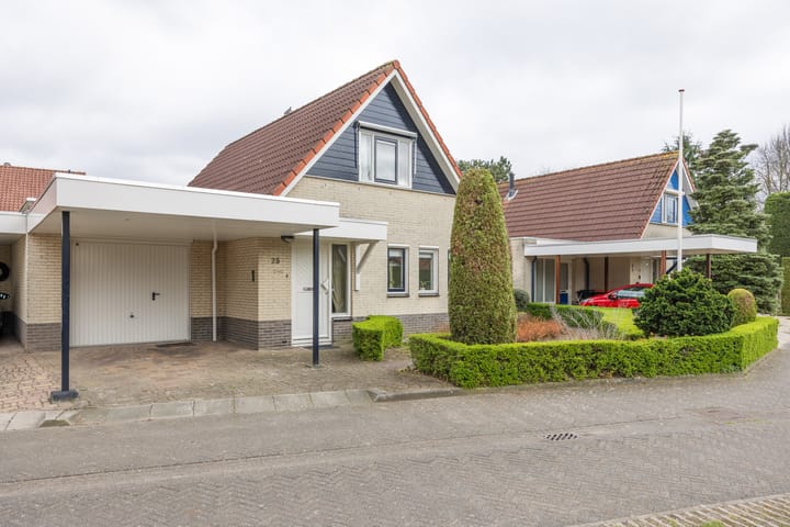 Foto 2 van Boterbloem 25