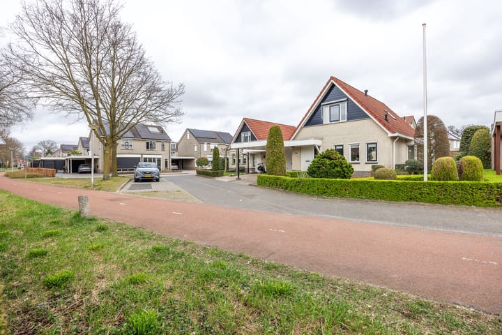 Foto 4 van Boterbloem 25