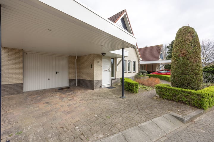 Foto 5 van Boterbloem 25