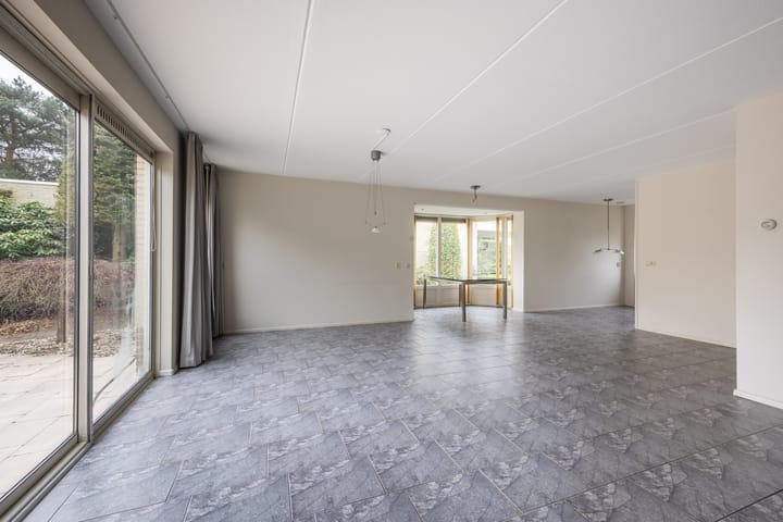 Foto 10 van Boterbloem 25