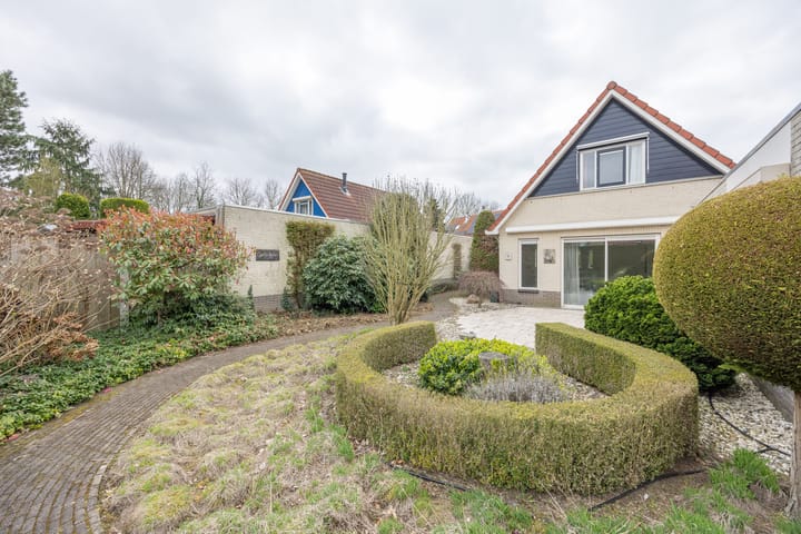 Foto 41 van Boterbloem 25