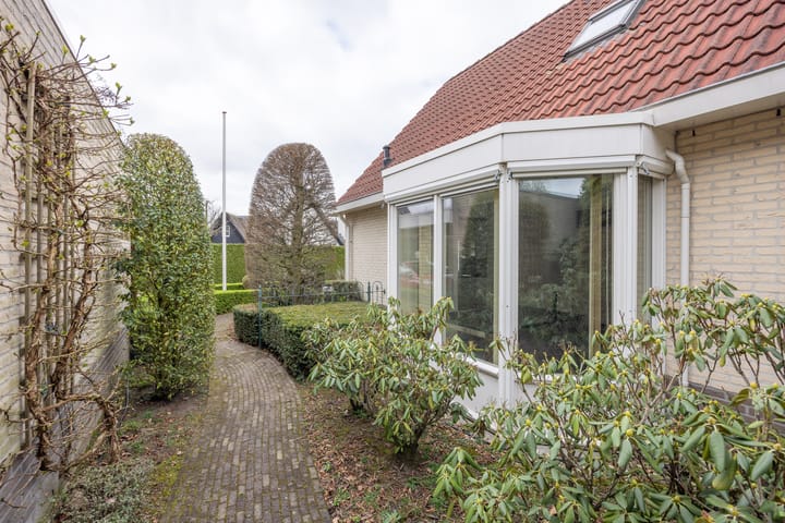 Foto 43 van Boterbloem 25