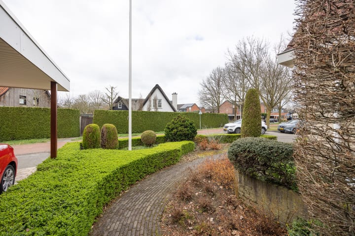 Foto 44 van Boterbloem 25