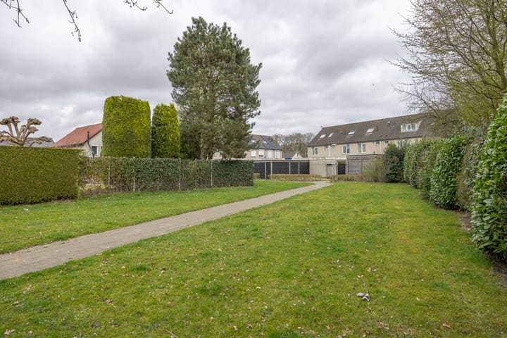 Foto 45 van Boterbloem 25