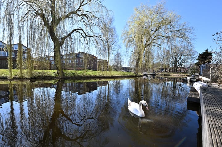 Foto 14 van Flevomeer 33