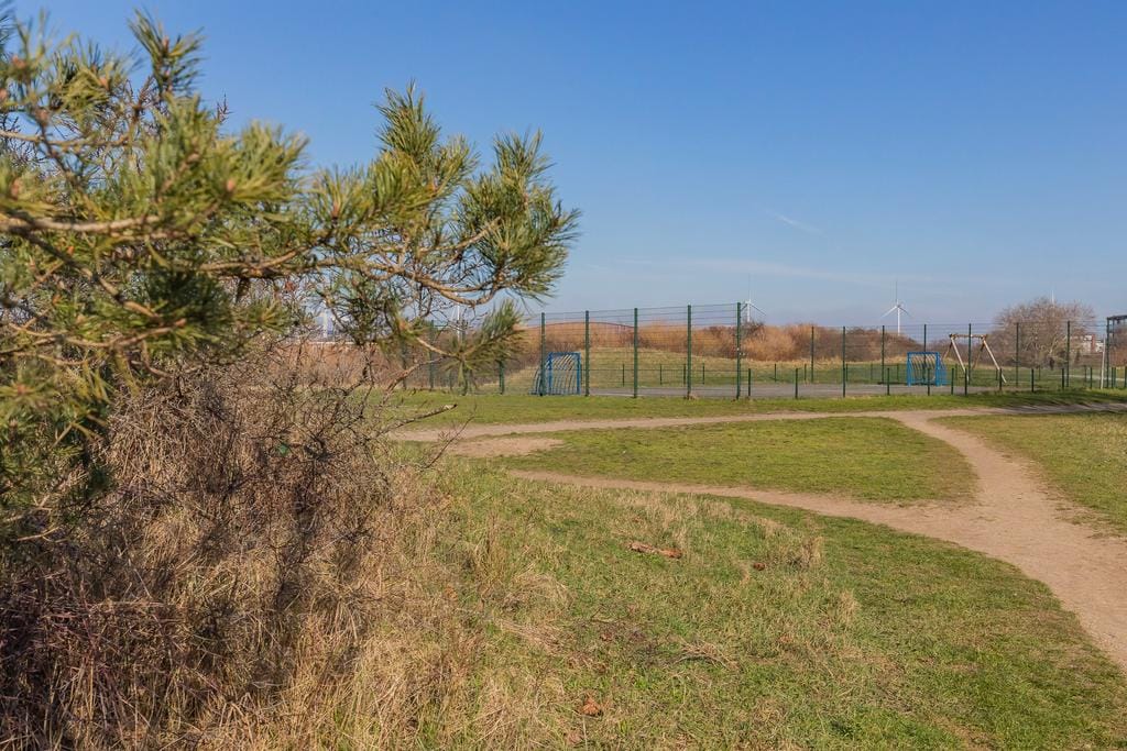 Foto 52 van Zandhaver 74