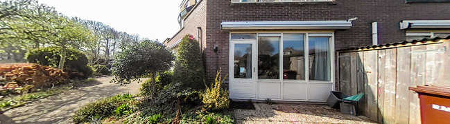 Tuin