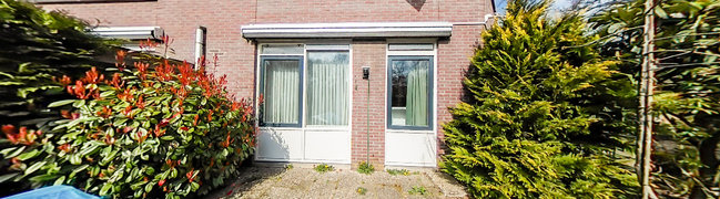 Tuin