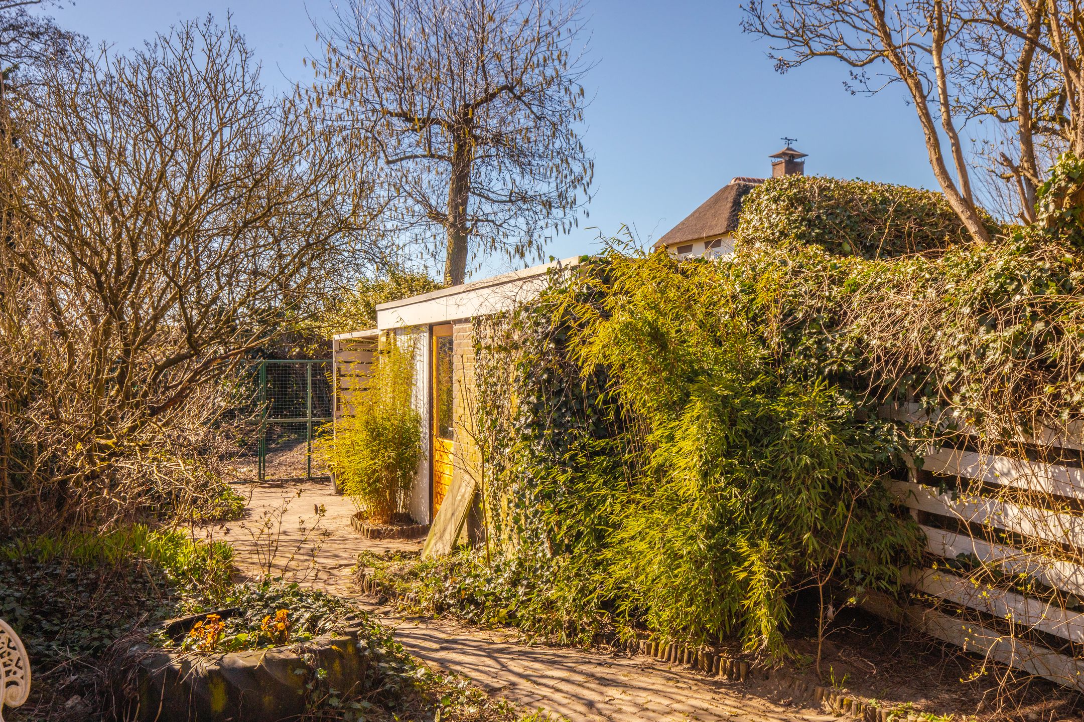 Foto 24 van Van der Hoevensstraat 90