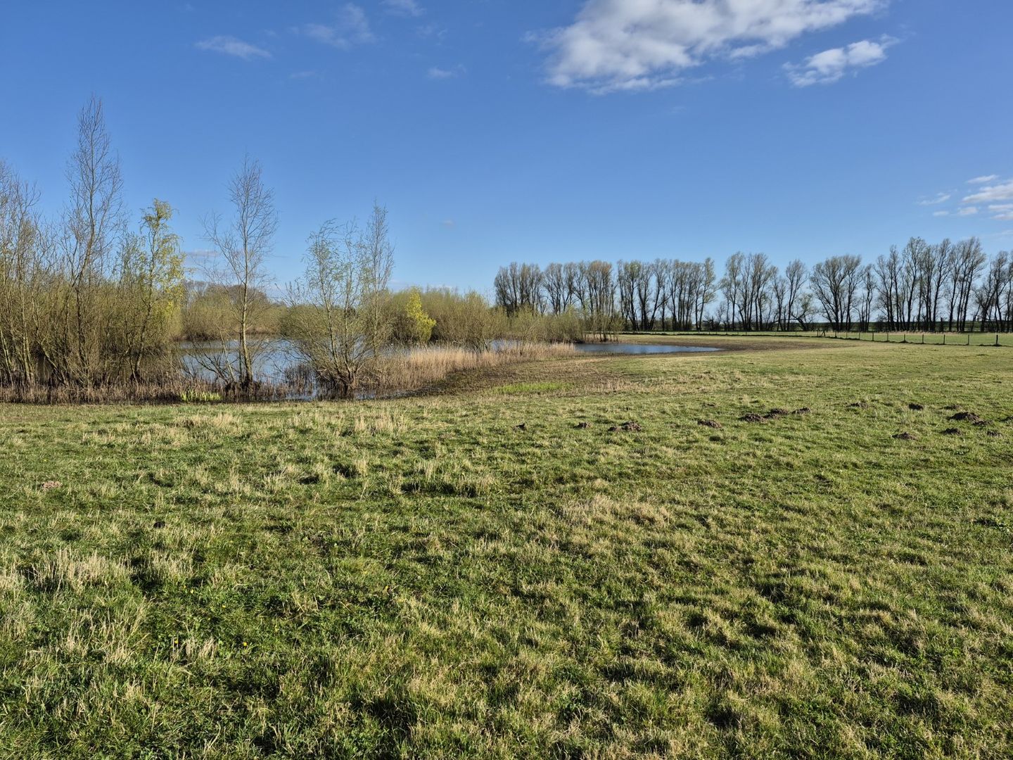 Foto 40 van Van der Hoevensstraat 90