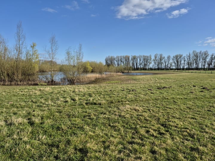 Foto 40 van Van der Hoevensstraat 90