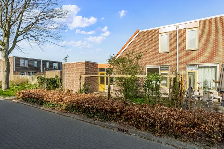 Foto 4 van Dongenpad 4