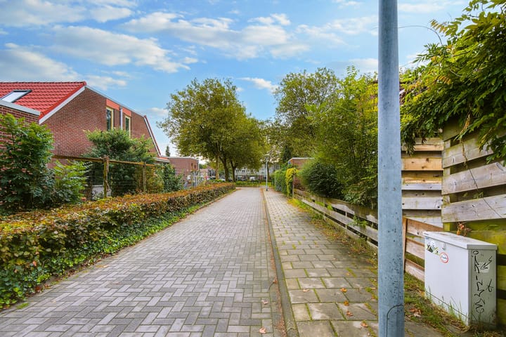 Foto 20 van Dongenpad 4