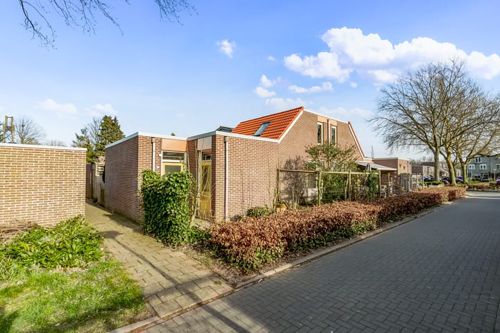 Foto 23 van Dongenpad 4