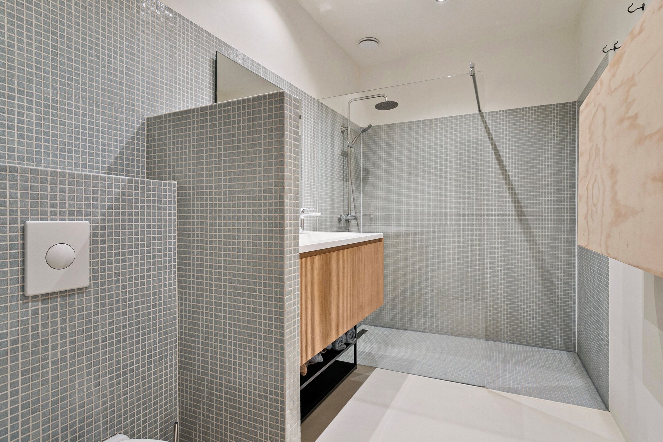 Foto 9 van Rode Leeuwstraat 48