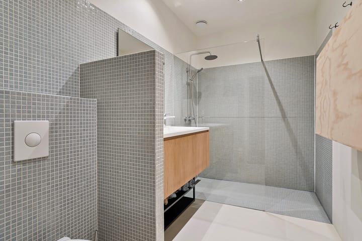 Foto 9 van Rode Leeuwstraat 48