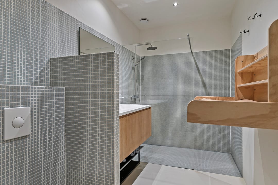 Foto 11 van Rode Leeuwstraat 48