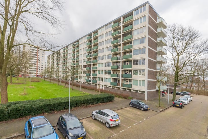 Ierlandstraat 160