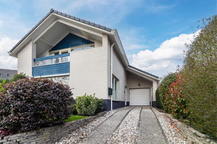 Foto 2 van Roerdomperf 17