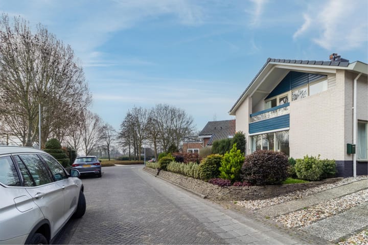 Foto 3 van Roerdomperf 17