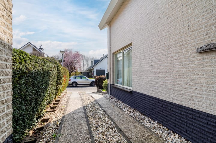 Foto 5 van Roerdomperf 17