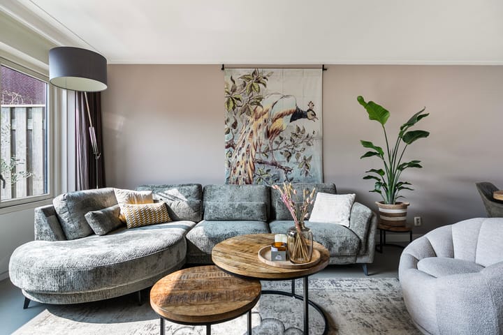 Foto 5 van Visven 517