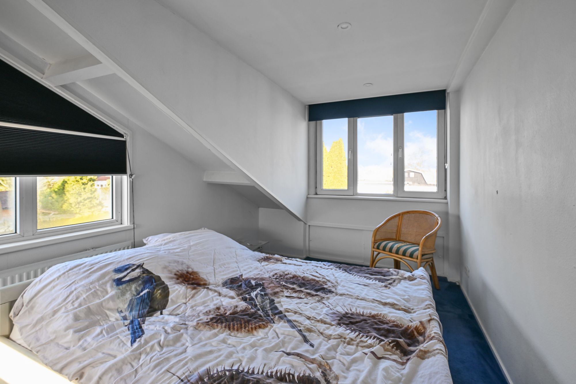 Photo 18 of Park Zomerlust 141