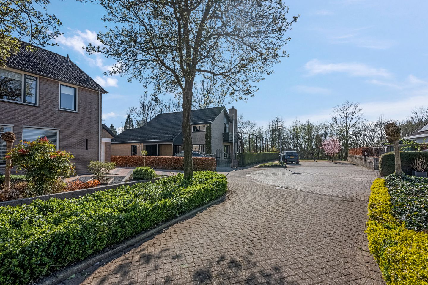 Photo 34 of Rondeel 3