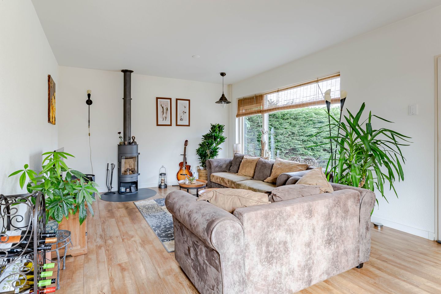 Photo 4 of Weegbree 24