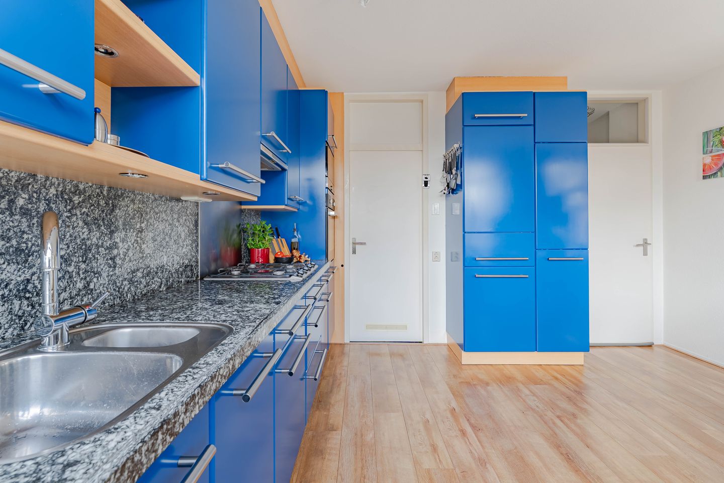 Photo 10 of Weegbree 24