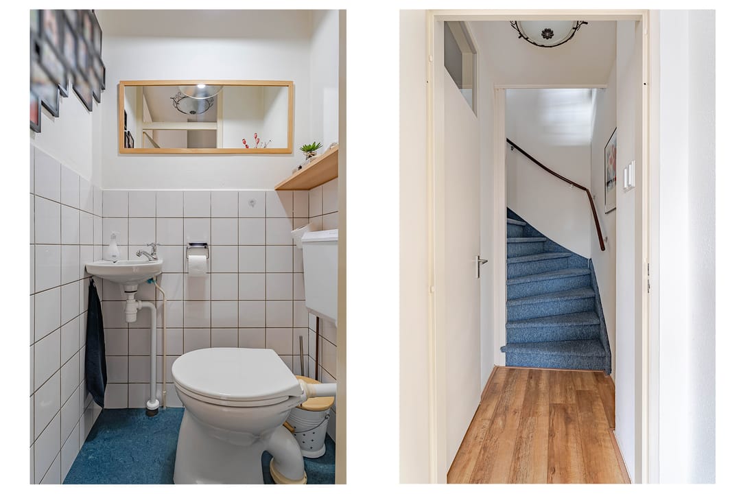 Photo 11 of Weegbree 24