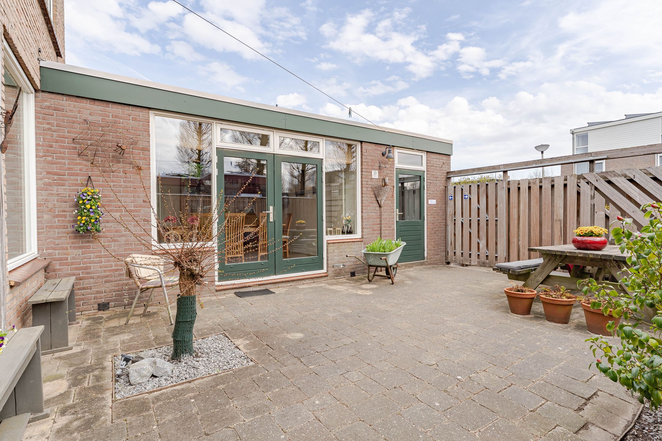 Photo 18 of Weegbree 24