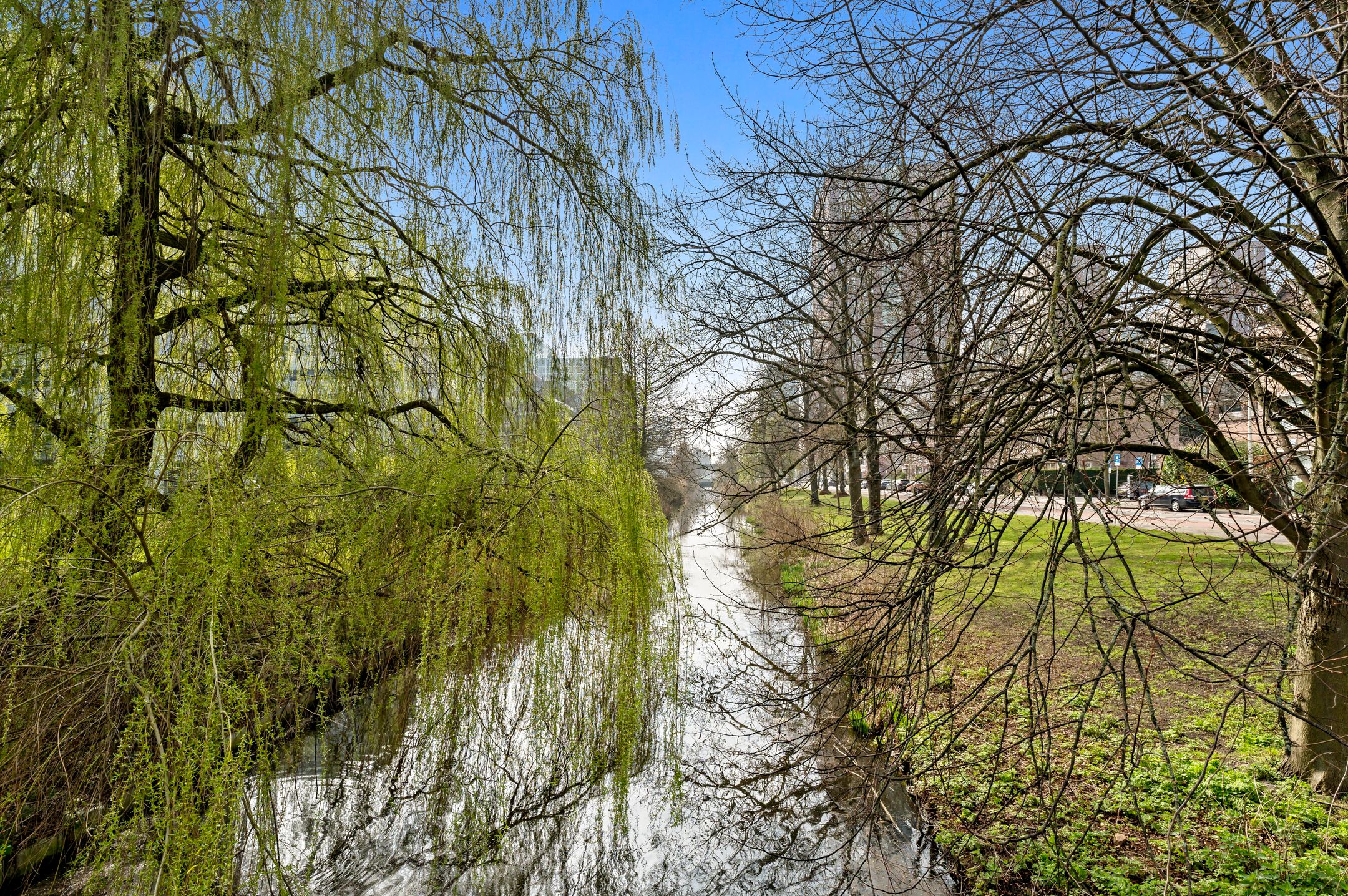 Foto 33 van Johan van Hoornstraat 23