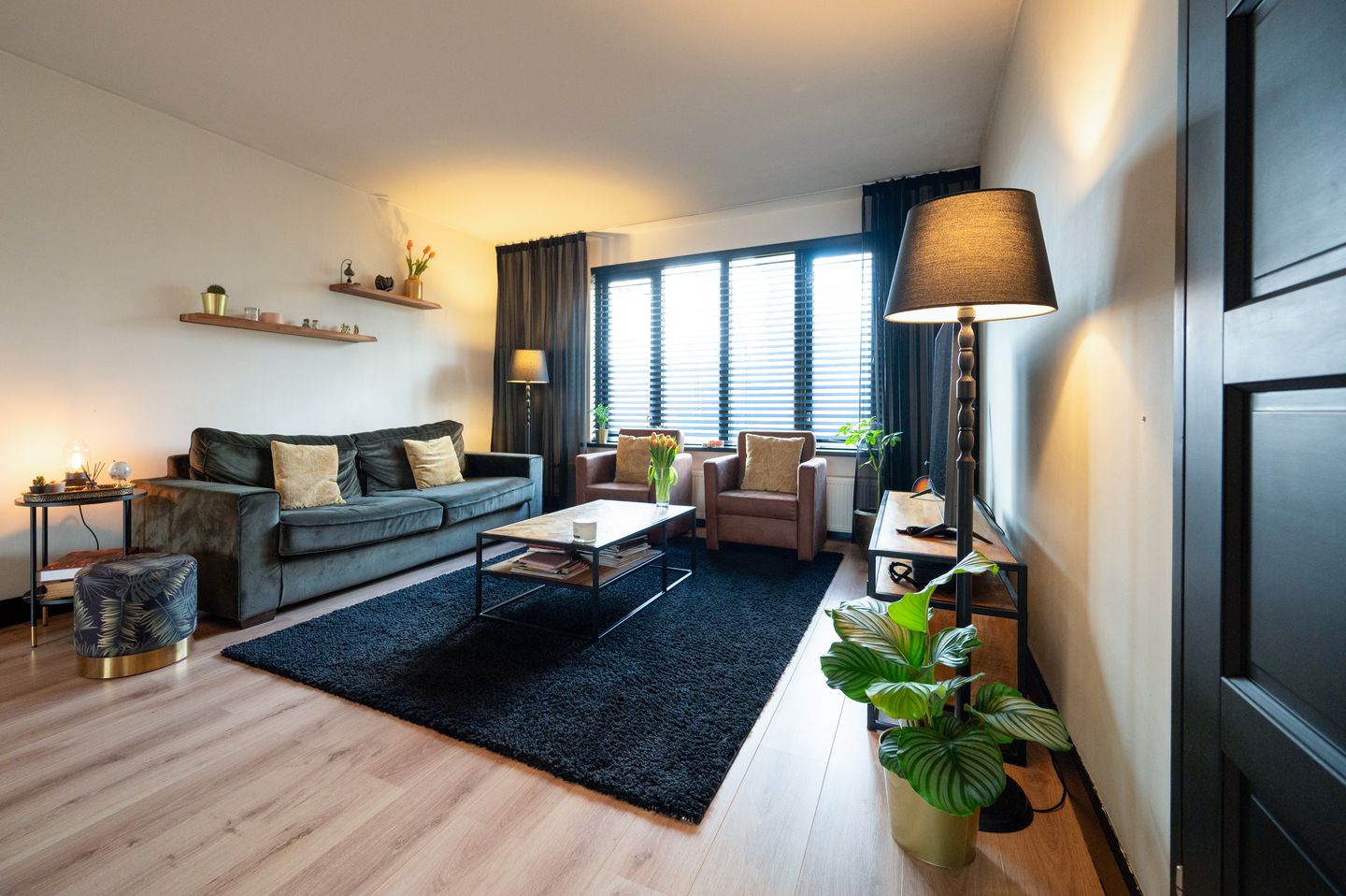 Foto 19 van Treubstraat 153