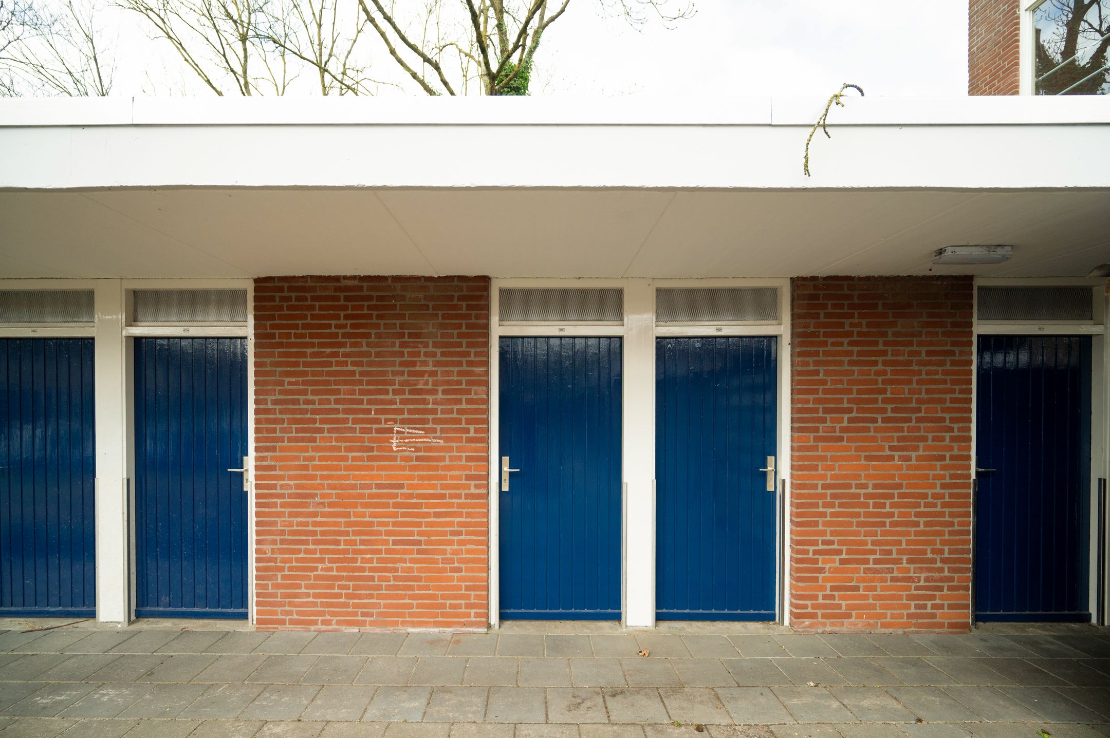 Foto 6 van Treubstraat 153