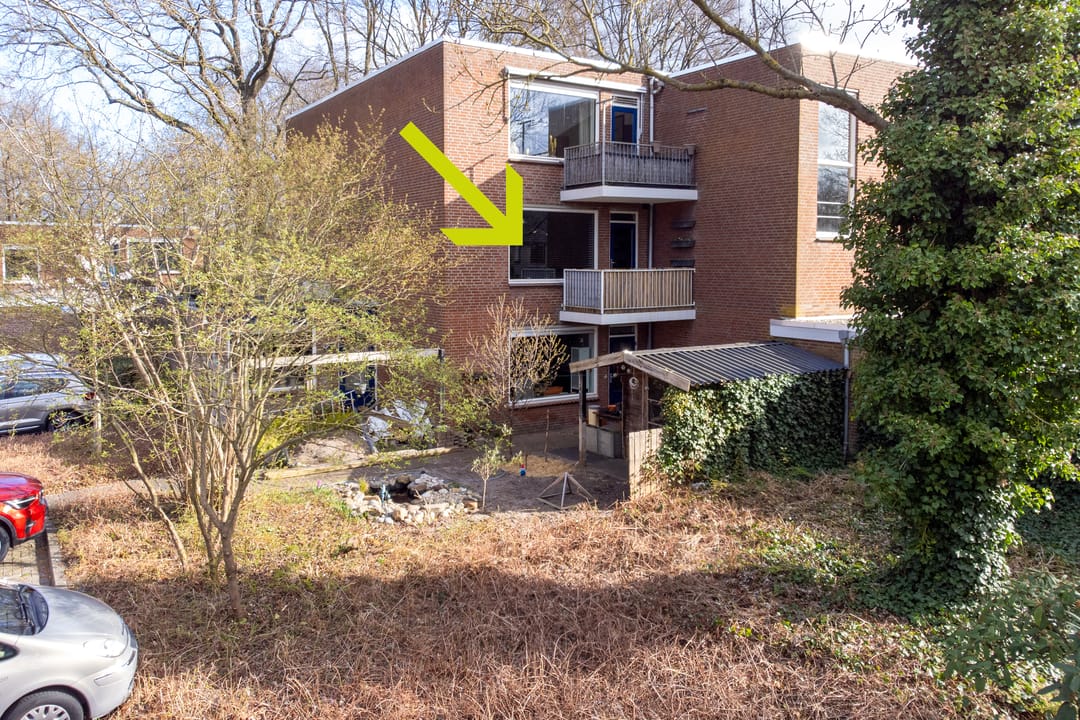 Foto 7 van Treubstraat 153