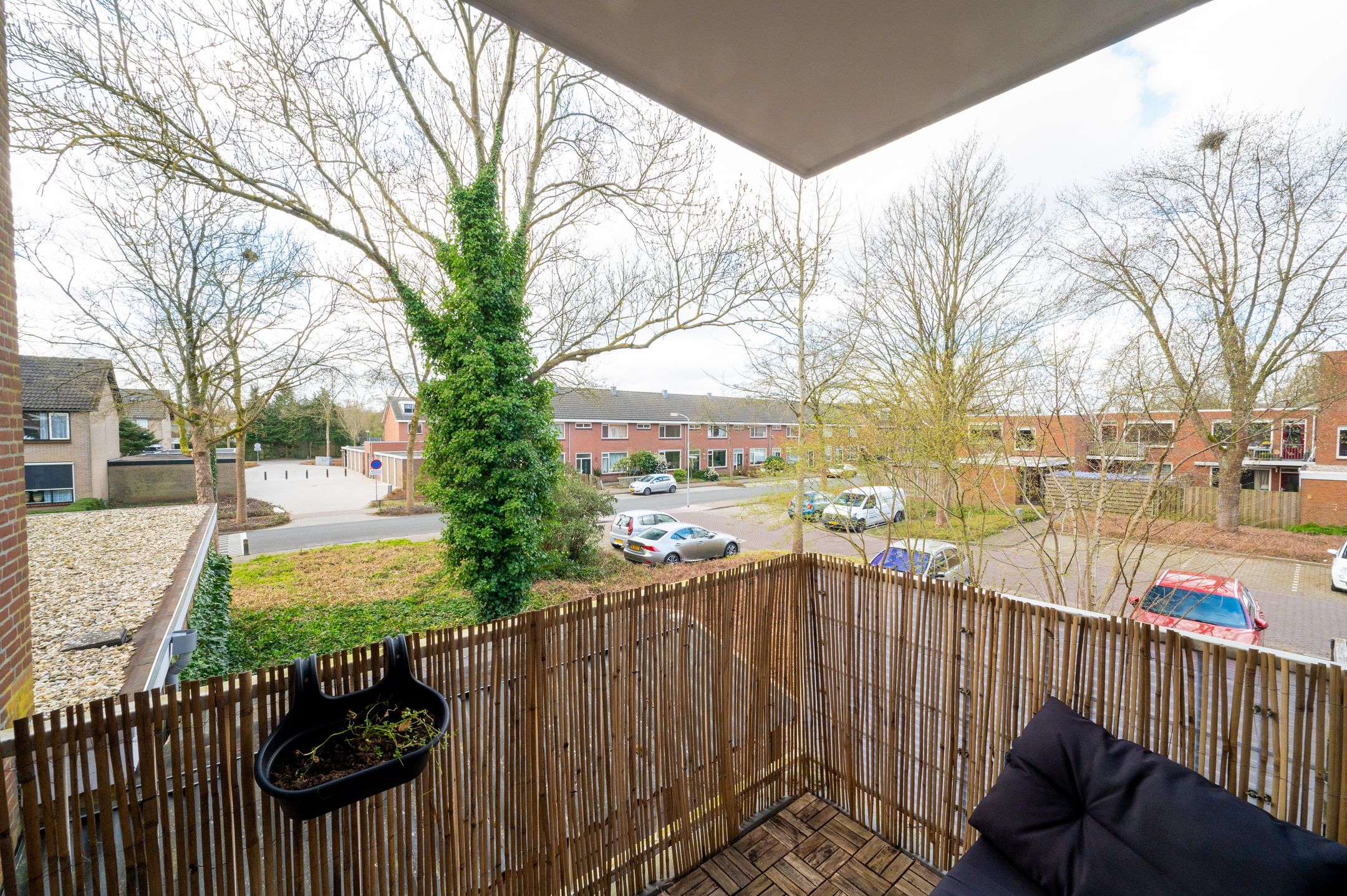 Foto 15 van Treubstraat 153