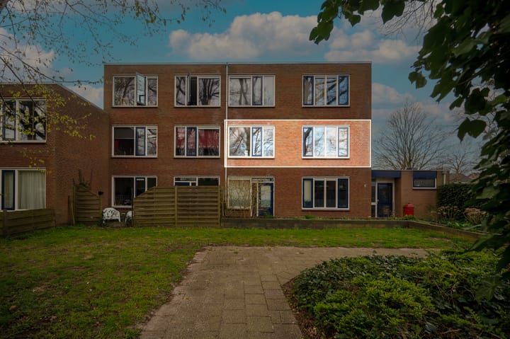 Foto 4 van Treubstraat 153