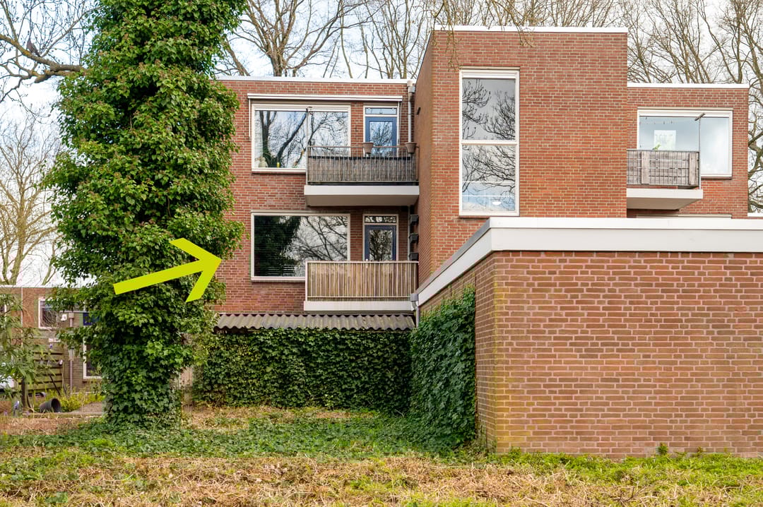 Foto 1 van Treubstraat 153