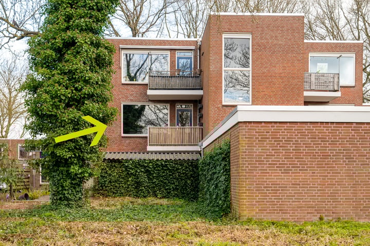 Bekijk foto van Treubstraat 153