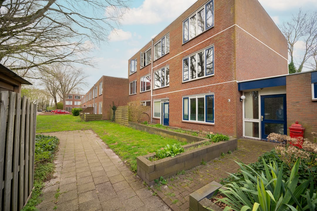 Foto 37 van Treubstraat 153