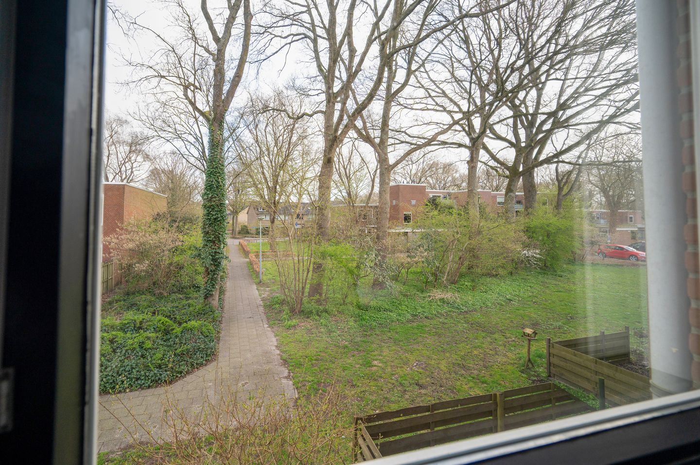 Foto 29 van Treubstraat 153