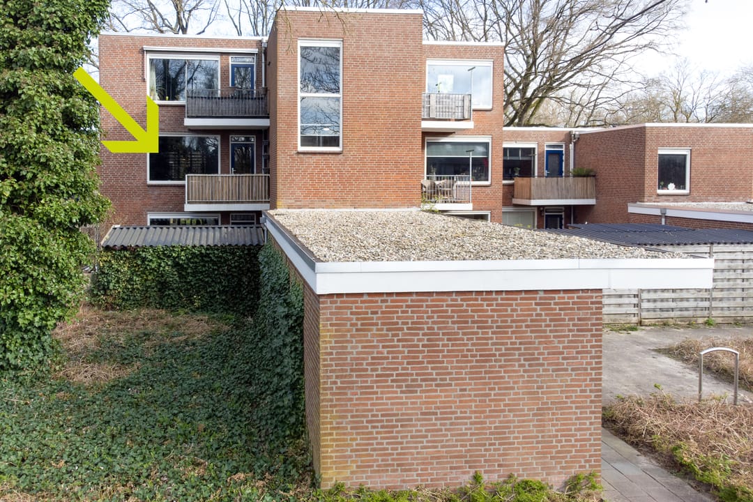 Foto 38 van Treubstraat 153