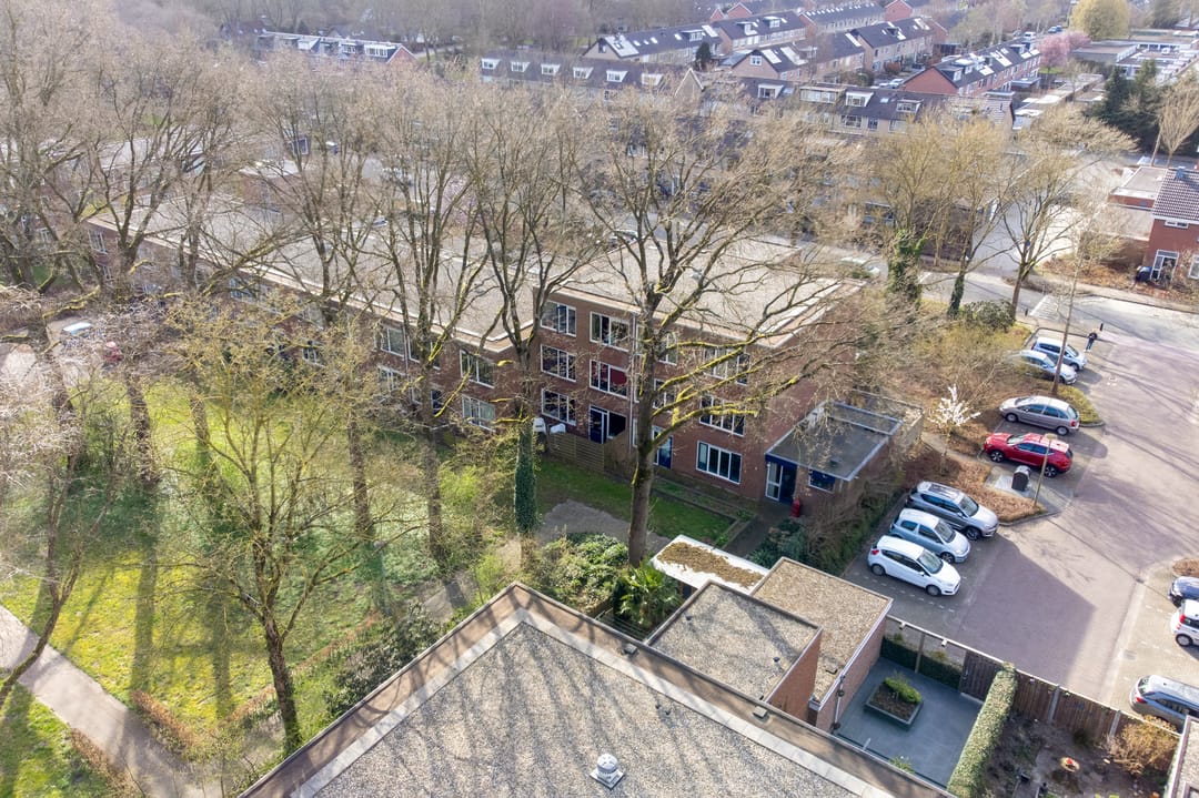 Foto 41 van Treubstraat 153