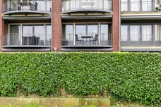 Image of Schelpweg 2420 - Third image