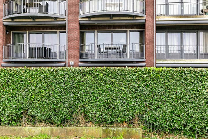 Foto 3 van Schelpweg 2420