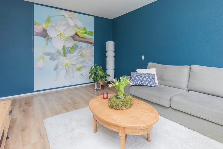 Foto 7 van Prinsenstraat 81