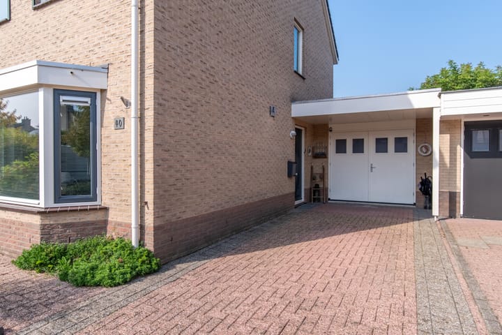 Foto 5 van Varenmos 40