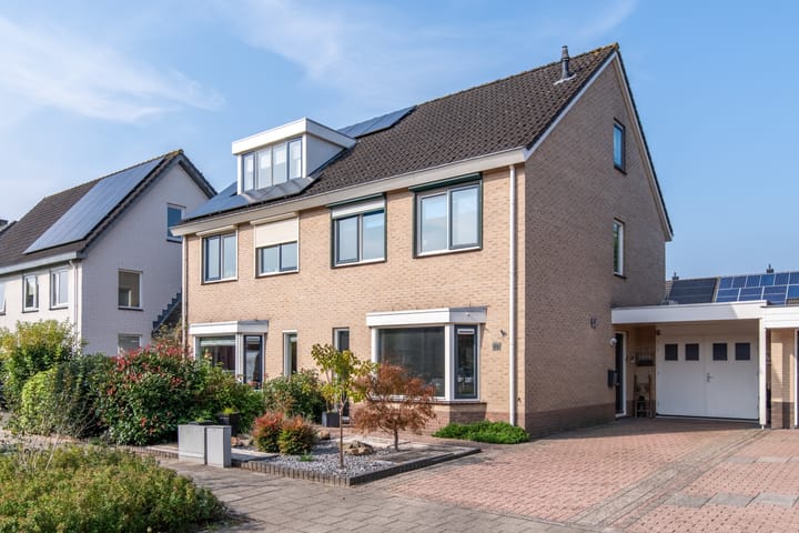 Foto 1 van Varenmos 40