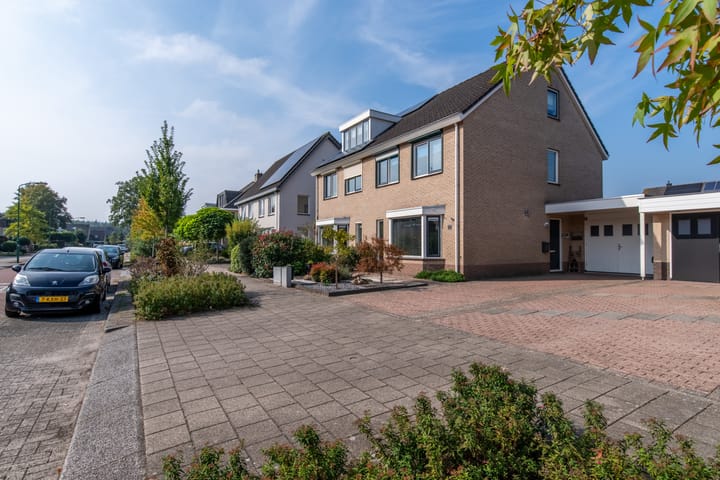 Foto 4 van Varenmos 40